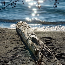 Paysage